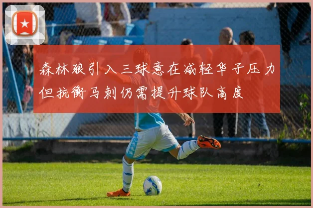 森林狼引入三球意在减轻华子压力但抗衡马刺仍需提升球队高度